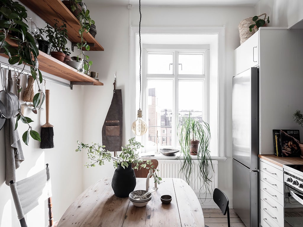 Image showcasing Urban jungle kitchen - COCO LAPINE DESIGNCOCO LAPINE DESIGN