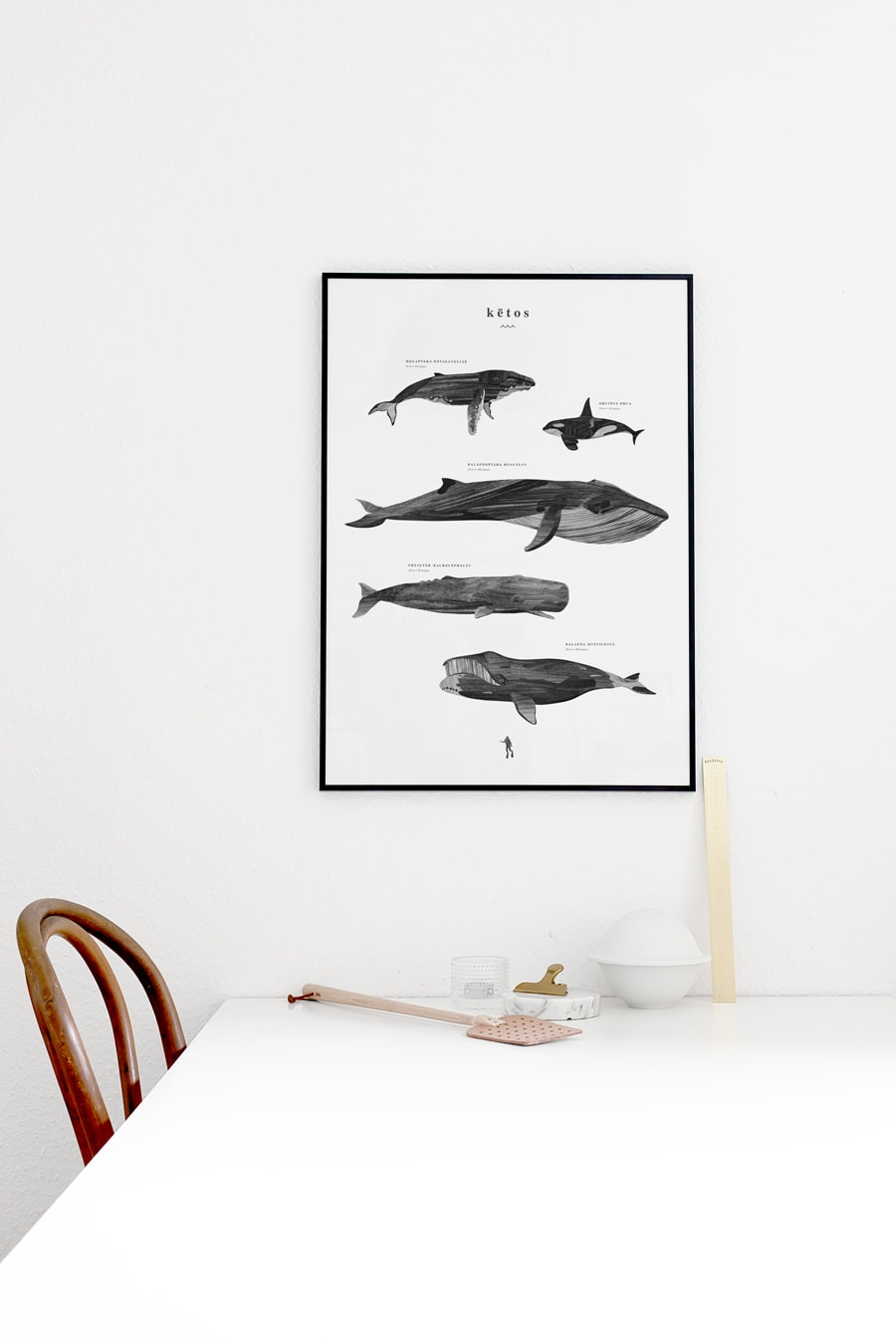 Coco lapine design ketos 50×70 ココラパン ケトス Kētos: a new print in the shop - COCO LAPINE DESIGNCOCO LAPINE DESIGN
