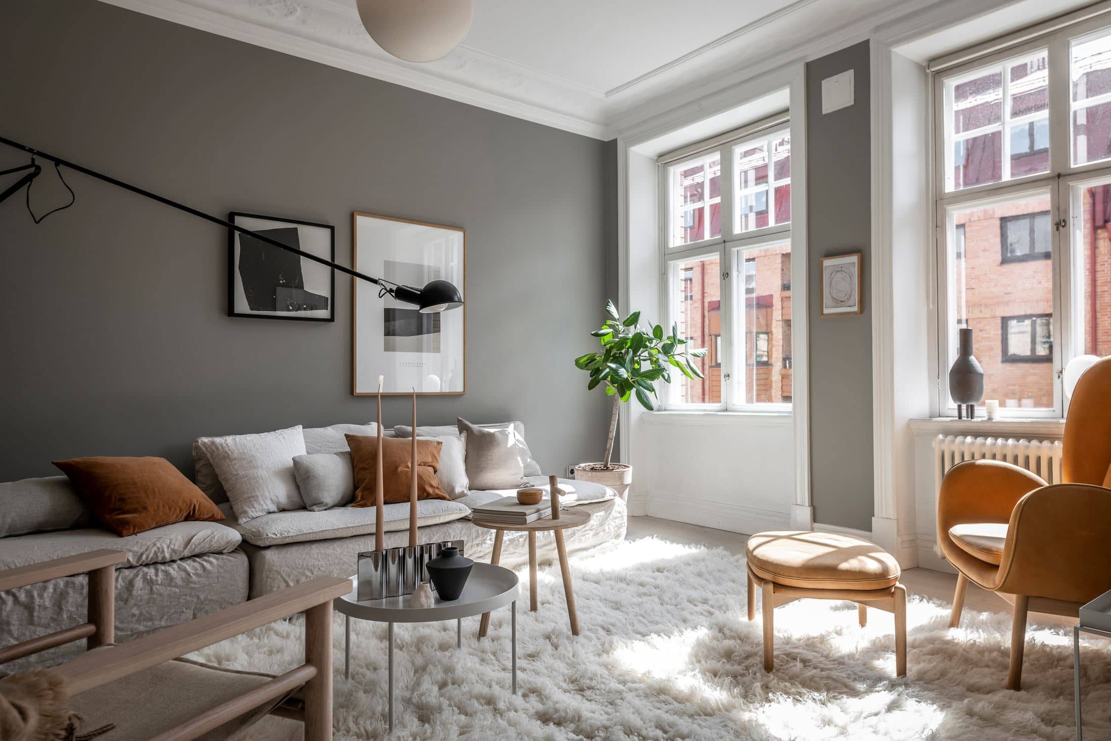 grey color for accent walls in living room