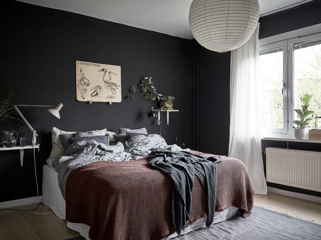 Black and white kitchen and a dark blue bedroom wall - COCO LAPINE  DESIGNCOCO LAPINE DESIGN
